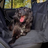 Rear Seat Cover for Dogs – Centre Zip (Pickups and SUVs)