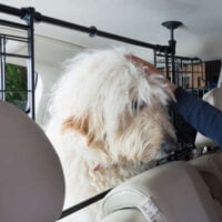 Dog Guard – Sliding Grille (Headrest Mounted)